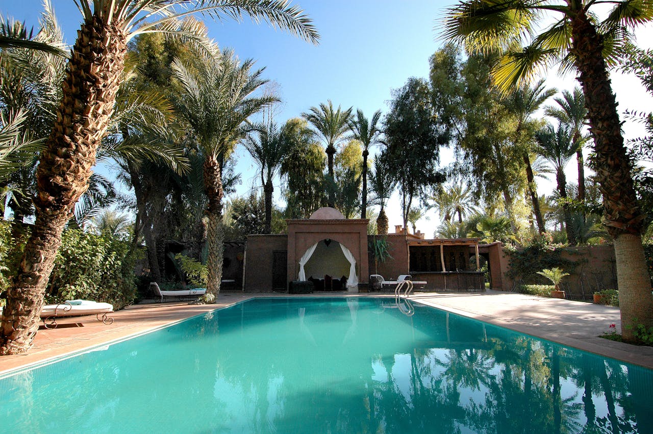 A stunning tropical resort pool surrounded by lush palms, perfect for a summer vacation.