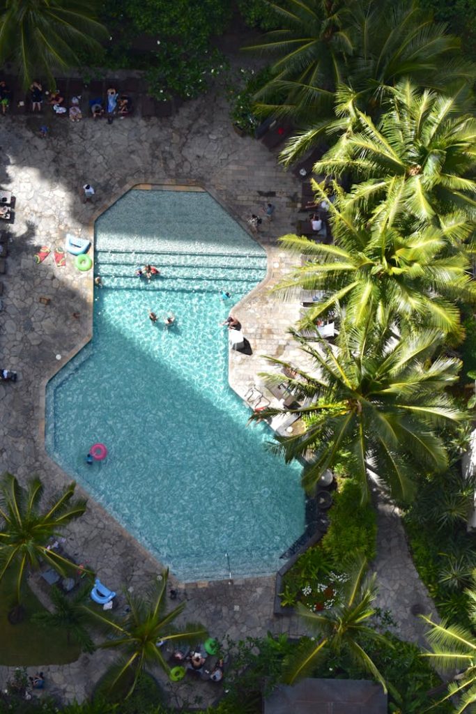 Discover a relaxing aerial view of a tropical resort pool surrounded by lush palm trees.