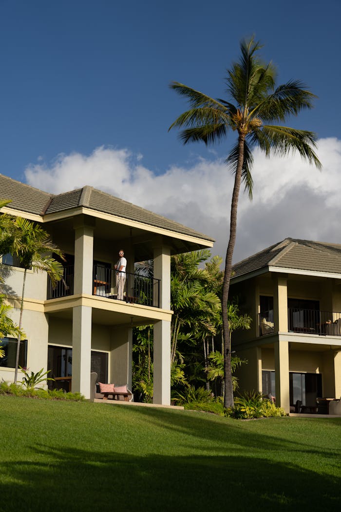 Scenic view of a tropical resort villa with lush greenery and a palm tree.